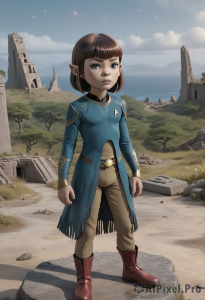 1girl,solo,breasts,looking at viewer,short hair,bangs,blue eyes,brown hair,long sleeves,closed mouth,standing,full body,small breasts,boots,outdoors,sky,day,pointy ears,belt,pants,cloud,blunt bangs,blue sky,lips,shadow,ocean,brown footwear,bob cut,grass,elf,red footwear,star (sky),rock,brown pants,tree,night,child