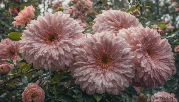 A abstract captured beautifully in a tranquil background