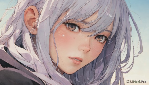 A female captured in a enchanting dynamic scene