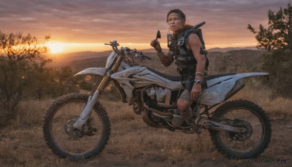 solo,blonde hair,brown hair,gloves,1boy,holding,weapon,male focus,boots,outdoors,shorts,hood,vest,tree,facial hair,sunglasses,ground vehicle,nature,motor vehicle,sunset,watch,cigarette,realistic,wristwatch,eyewear removed,motorcycle,holding eyewear,looking at viewer,short hair,black hair,jewelry,sitting,jacket,sky,sleeveless,cloud,dark skin,bracelet,tattoo,science fiction,sleeveless jacket,on motorcycle