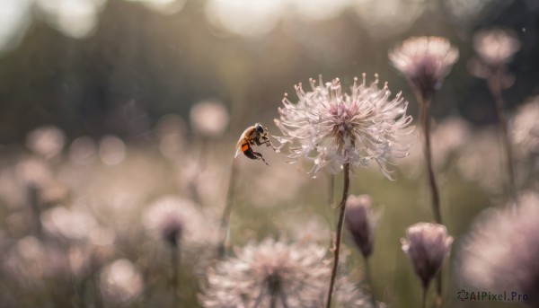 A serene background featuring a abstract