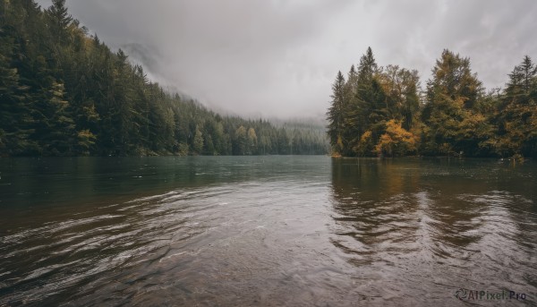 outdoors,sky,day,cloud,water,tree,no humans,cloudy sky,nature,scenery,forest,reflection,road,river,landscape,lake,fog,grey sky,snow,realistic,overcast,pine tree