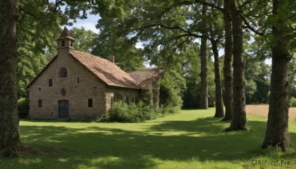 outdoors,sky,day,cloud,tree,blue sky,no humans,window,sunlight,grass,building,nature,scenery,forest,bush,shade,house,path,shadow,cloudy sky,road