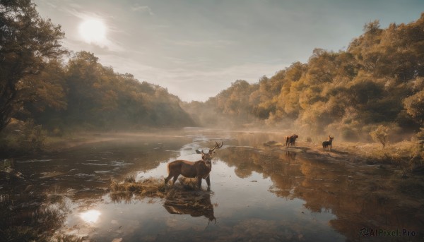 solo,1boy,sitting,outdoors,sky,day,cloud,water,tree,no humans,animal,sunlight,grass,nature,scenery,forest,reflection,sunset,light rays,sun,riding,antlers,horse,river,landscape,lake,reflective water,deer,1girl