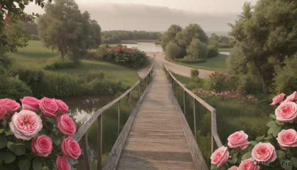 A peaceful image of a garden in day