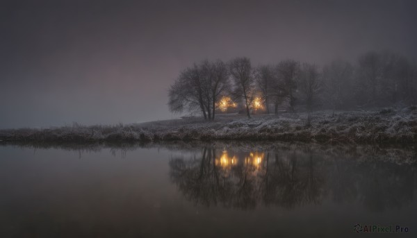 outdoors,sky,cloud,water,tree,no humans,night,cloudy sky,grass,fire,nature,night sky,scenery,forest,reflection,lantern,dark,bare tree,river,lake,fog,grey sky