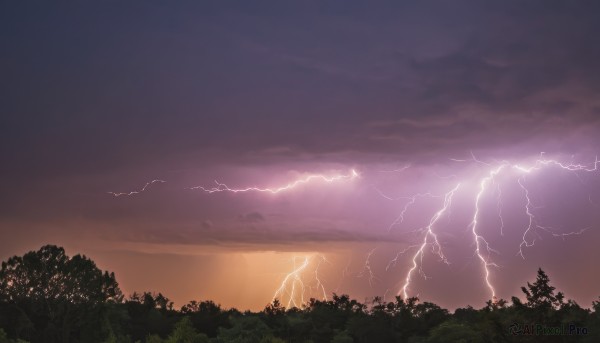 outdoors,sky,cloud,tree,no humans,cloudy sky,nature,scenery,forest,sunset,silhouette,electricity,lightning,landscape,monochrome