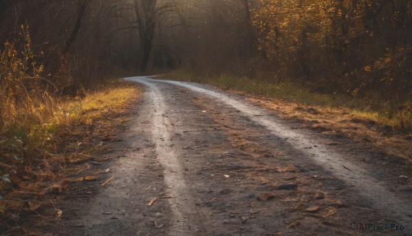 outdoors,water,tree,no humans,leaf,traditional media,grass,nature,scenery,forest,rock,road,autumn leaves,river,realistic,autumn,path