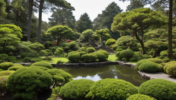 A landscape portrayed in a refreshing day