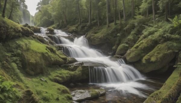 outdoors,day,water,tree,no humans,sunlight,plant,nature,scenery,forest,rock,river,waterfall,landscape,moss,stream