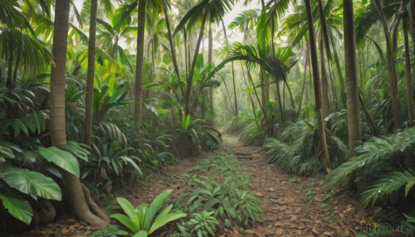 outdoors,day,tree,no humans,leaf,traditional media,sunlight,grass,plant,nature,scenery,forest,bush,green theme,path,rock,road