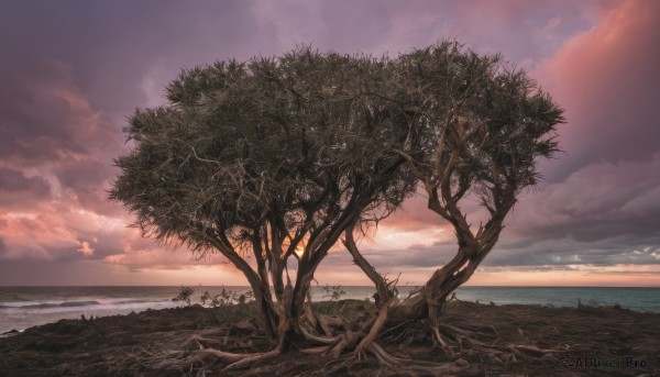 The beauty of a landscape set in a enchanting sunset outdoors