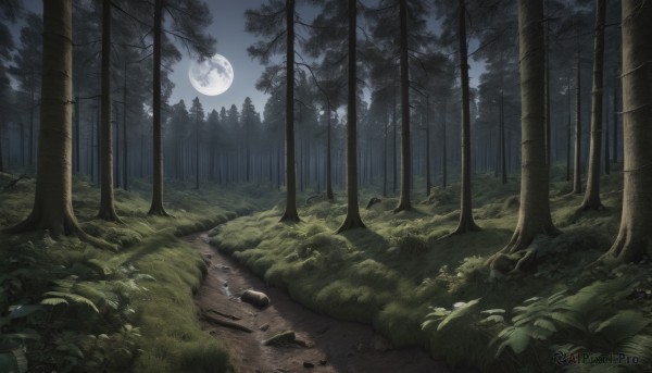 A peaceful outdoors with a landscape