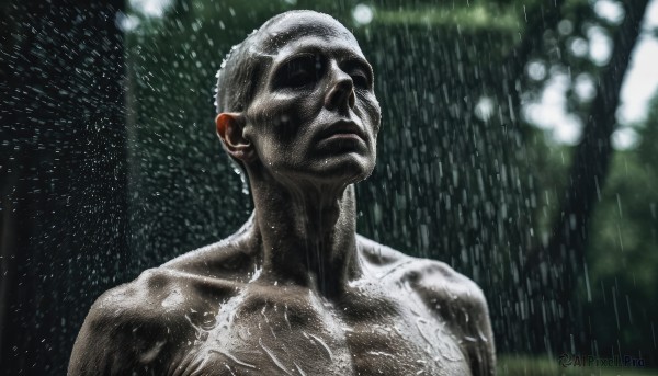 The charm of a male in a scenic rainy outdoors