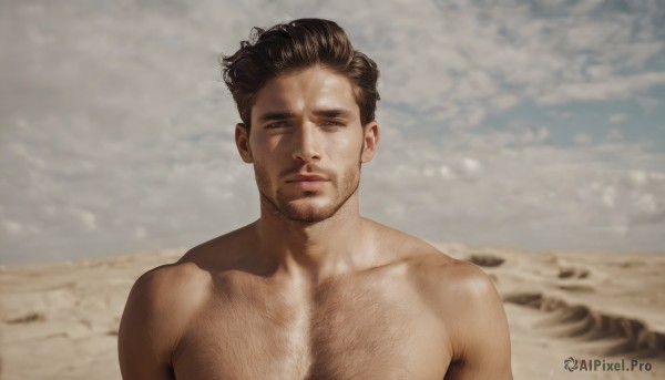 solo,looking at viewer,short hair,brown hair,black hair,1boy,closed mouth,collarbone,upper body,male focus,nude,outdoors,day,blurry,blurry background,facial hair,beach,pectorals,beard,topless male,realistic,sand,stubble,manly,chest hair,arm hair,hairy,desert,brown eyes,sky,cloud,muscular,cloudy sky,muscular male,portrait,bara,large pectorals,mature male