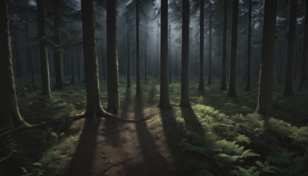 A landscape surrounded by a serene outdoors