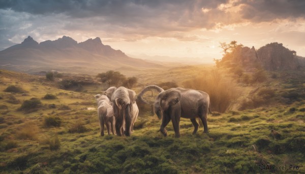A landscape in a picturesque sunset outdoors