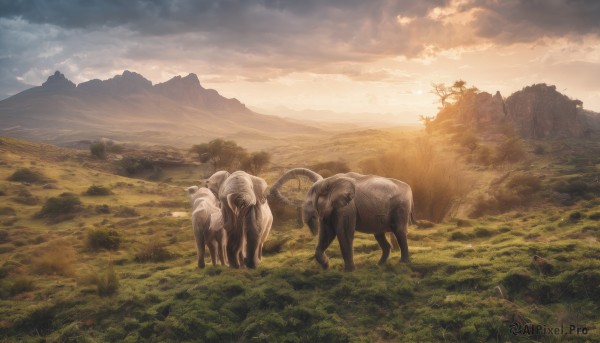 outdoors,sky,cloud,tree,no humans,animal,cloudy sky,grass,nature,scenery,forest,sunset,mountain,fantasy,field,landscape,sheep,goat,signature,sunlight,hill