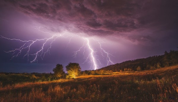 outdoors,sky,cloud,tree,no humans,night,cloudy sky,grass,nature,scenery,forest,sunset,electricity,field,lightning,landscape,purple sky,water,night sky,horizon,dark