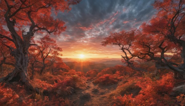 outdoors,sky,cloud,tree,no humans,leaf,sunlight,cloudy sky,grass,nature,scenery,forest,sunset,mountain,sun,autumn leaves,maple leaf,autumn,landscape,orange sky,light rays,branch,red theme,bare tree,mountainous horizon,red sky