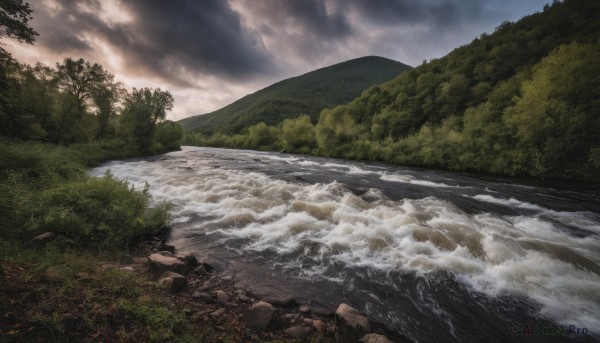 A graceful landscape captured in day