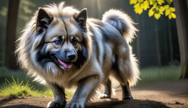 A majestic image of a dog in day