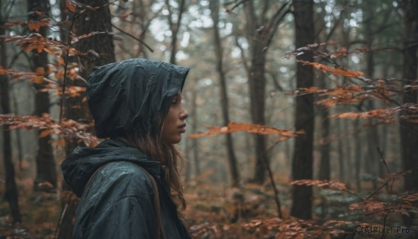 A female portrayed in a inviting outdoors