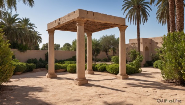 outdoors,sky,day,tree,blue sky,no humans,shadow,sunlight,grass,plant,scenery,sand,palm tree,road,bush,shade,pillar,column,cloud,building,arch