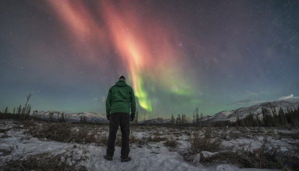 solo,black hair,gloves,long sleeves,1boy,standing,jacket,male focus,outdoors,sky,pants,hood,from behind,tree,fur trim,night,black pants,star (sky),nature,night sky,scenery,snow,forest,starry sky,walking,rock,green jacket,mountain,facing away,wide shot,aurora,hat,hoodie,grass,snowing,beanie,milky way