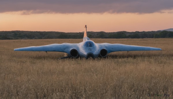 The majestic beauty of a unique subject set within a ethereal sunset outdoors