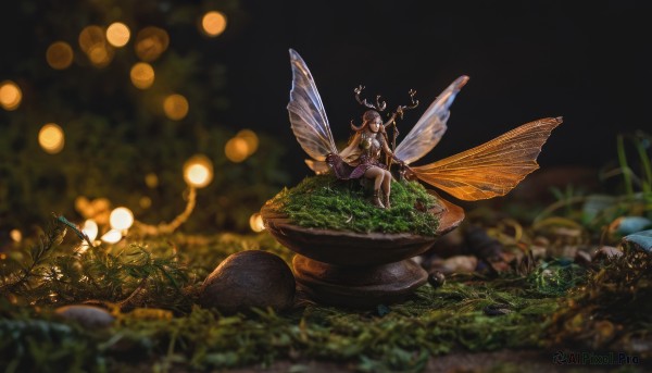 A tranquil outdoors showcasing a butterfly