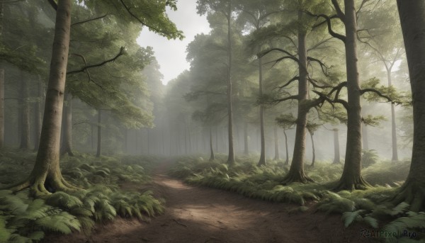A charming day with a landscape