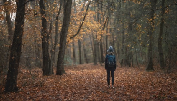 1girl, solo, standing, jacket, outdoors, day, pants, hood, bag, from behind, tree, backpack, nature, scenery, forest, autumn leaves, autumn