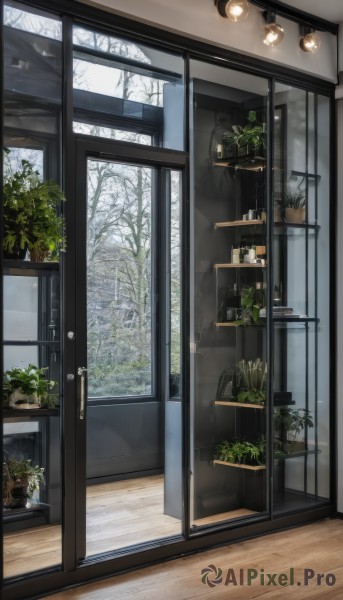 indoors,tree,cup,no humans,window,table,plant,scenery,snow,wooden floor,door,potted plant,lamp,winter,shelf,bare tree,light bulb,ceiling light,flower,day