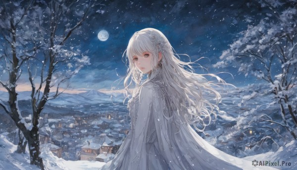 1girl,solo,long hair,looking at viewer,bangs,hair ornament,long sleeves,dress,jewelry,closed mouth,standing,upper body,braid,flower,white hair,earrings,outdoors,parted lips,sky,looking back,cloud,hair flower,cape,white dress,tree,looking to the side,grey eyes,night,floating hair,moon,white flower,building,star (sky),night sky,scenery,snow,full moon,starry sky,snowing,mountain,branch,house,winter,bare tree,mountainous horizon,white theme,town,pine tree,hairband,from side,lips,wavy hair,expressionless,wind,cloak,white cape