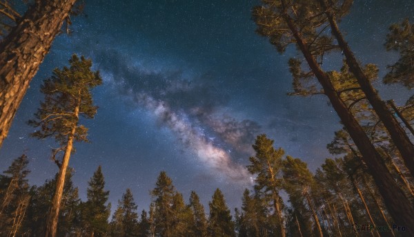 A unique subject portrayed in a inviting outdoors