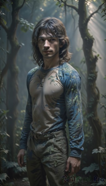 A majestic male within a beautiful outdoors