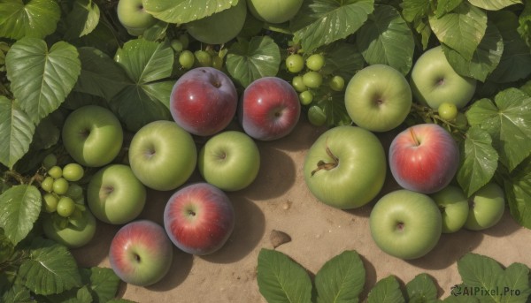 outdoors,food,day,no humans,fruit,shadow,leaf,from above,scenery,realistic,apple,grapes,food focus,lying,plant,still life