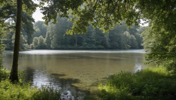 outdoors,day,water,tree,no humans,sunlight,grass,plant,nature,scenery,forest,reflection,rock,road,bush,river,sky,landscape,lake