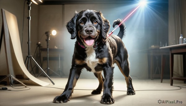 HQ,looking at viewer,open mouth,brown eyes,full body,tongue,indoors,tongue out,collar,no humans,animal,chair,table,bottle,dog,realistic,leash,cable,animal focus,red collar,animal collar,ceiling light,pet,solo,standing,fangs,mirror,light,lamp,spotlight