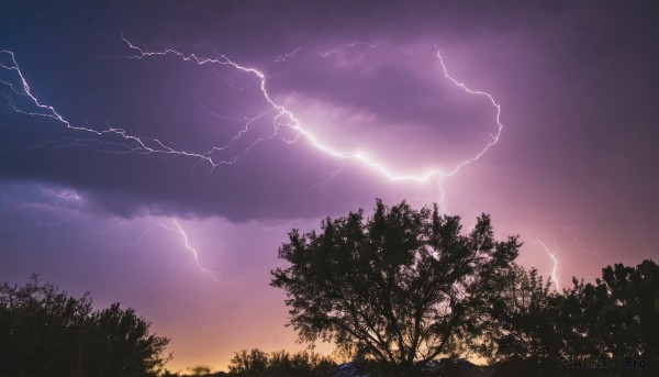 outdoors,sky,cloud,tree,no humans,cloudy sky,grass,nature,scenery,forest,sunset,electricity,purple theme,lightning,purple sky,gradient sky