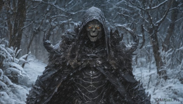 A ethereal snowy outdoors featuring a male