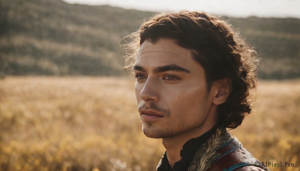 solo,short hair,brown hair,black hair,1boy,hat,brown eyes,closed mouth,upper body,male focus,outdoors,day,blurry,black eyes,depth of field,blurry background,facial hair,portrait,beard,realistic,mustache,stubble,straw hat,field,lips