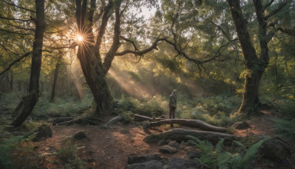 1girl,solo,black hair,1boy,standing,male focus,outdoors,day,pants,from behind,tree,sunlight,grass,plant,nature,scenery,forest,light rays,rock,sunbeam,wide shot,path,shirt,jacket,white hair,water,black pants,hands in pockets,bush,river