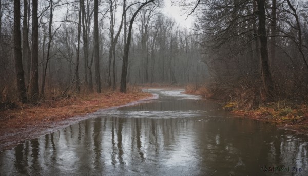 outdoors,sky,water,tree,no humans,nature,scenery,forest,reflection,ripples,bare tree,lake,fog,reflective water,grass,road,autumn leaves,river,autumn,landscape