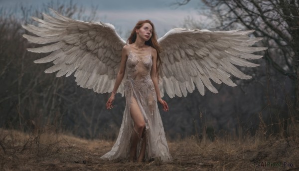 1girl,solo,long hair,breasts,brown hair,dress,navel,bare shoulders,medium breasts,standing,collarbone,outdoors,wings,barefoot,white dress,blurry,tree,lips,see-through,blurry background,nature,feathered wings,walking,angel wings,realistic,white wings,arms at sides,angel,bare tree,brown eyes,jewelry,parted lips,bracelet,grass,forest