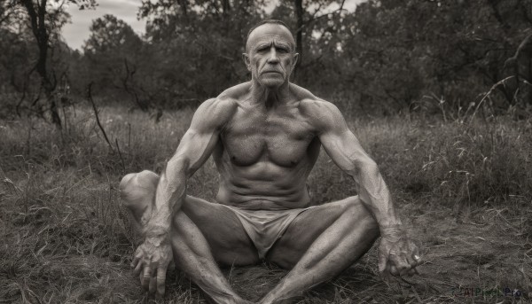 solo,looking at viewer,1boy,sitting,closed mouth,nipples,monochrome,greyscale,male focus,outdoors,pointy ears,spread legs,tree,muscular,facial hair,scar,abs,grass,pectorals,muscular male,nature,bara,beard,forest,topless male,mature male,realistic,mustache,bald,old,chest hair,old man,leg hair,bandages,manly,loincloth