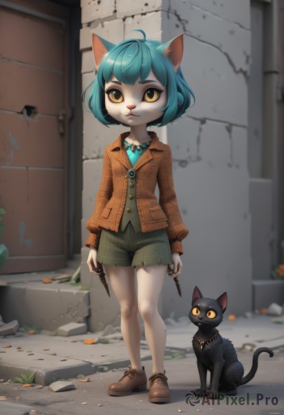 1girl,solo,looking at viewer,short hair,bangs,shirt,long sleeves,holding,animal ears,jewelry,closed mouth,blue hair,standing,jacket,tail,full body,yellow eyes,weapon,ahoge,outdoors,shoes,shorts,day,striped,collared shirt,artist name,cat ears,signature,necklace,blurry,looking at another,vest,flat chest,cat tail,plaid,short shorts,bare legs,aqua hair,:3,buttons,depth of field,blurry background,animal,watermark,brown footwear,cat,cat girl,slit pupils,child,furry,pendant,colored sclera,walking,brown jacket,rock,door,furry female,arms at sides,wall,body fur,pigeon-toed,black cat,brick wall,brown shorts,green shorts,animal nose,crack,whiskers,orange jacket,debris,alley,rubble,striped shorts,stone floor,stone wall,smile,sidelocks,shiny,holding weapon,shiny hair,orange eyes,looking to the side,leaf,cardigan,grass,knife,claws,arm at side,legs together,knees together feet apart,green shirt,holding knife,white fur,two-tone fur