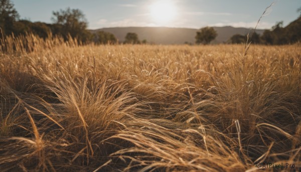A landscape amidst a vivid sunset day