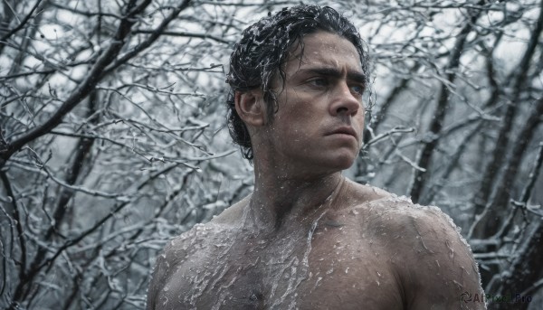 solo,short hair,black hair,1boy,closed mouth,upper body,male focus,nude,outdoors,blurry,black eyes,tree,nature,snow,forest,topless male,snowing,realistic,winter,bare tree,blue eyes,artist name,signature,water,hair bun,lips,wet,looking to the side,looking away,single hair bun,portrait